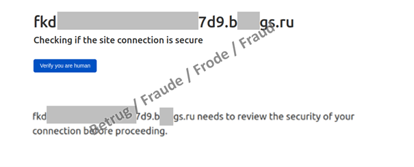 Die angebliche «Prüfseite», um Zeit für die Anfrage zu gewinnen. Die Seite ist in Russland gehostet und verlangt, dass mehrere Mausklicks ausgeführt werden. Nach erfolgreicher «Prüfung» wird das Opfer automatisch auf die Phishing-Seite weitergeleitet.