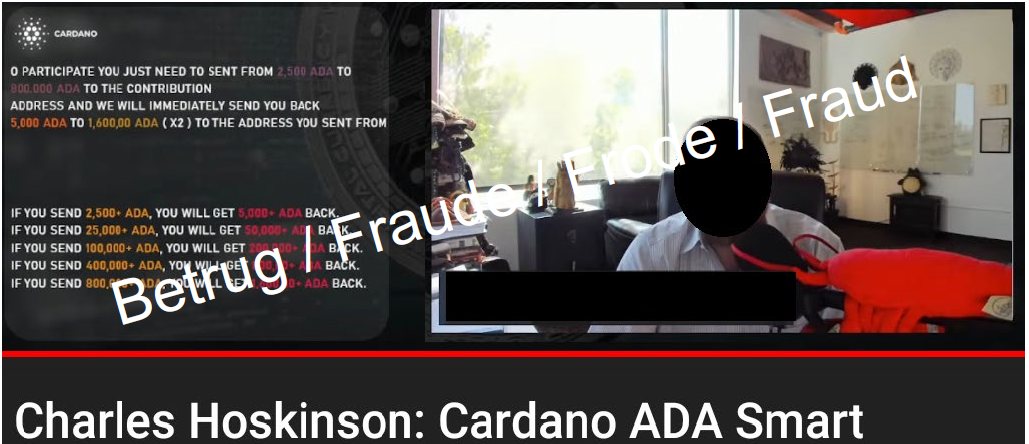 Angebliches Cardano-Promotionsvideo auf Youtube.