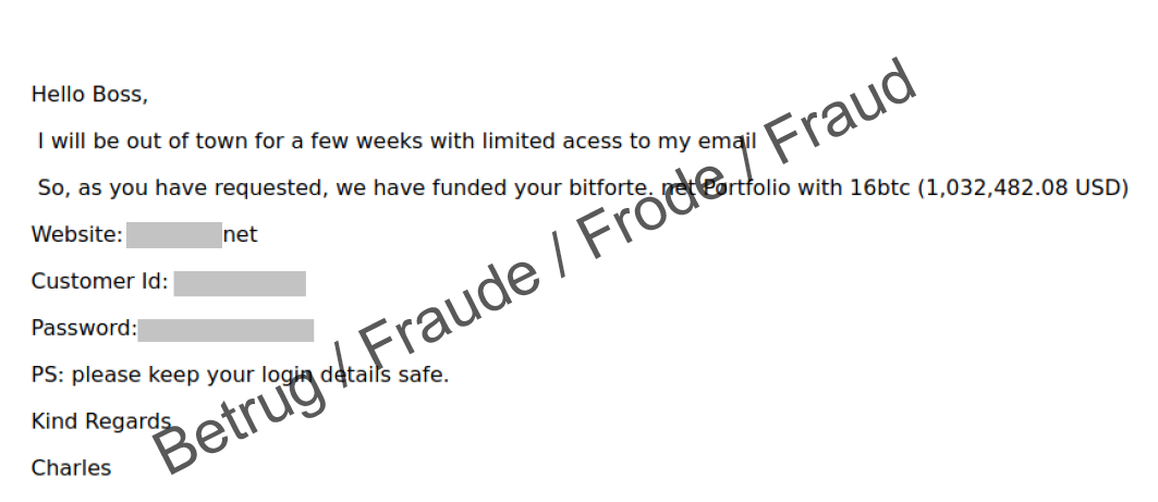 E-Mail, das versehentlich an den Empfänger gesendet wurde und Zugangsdaten zu einem Bitcoin-Konto enthält.