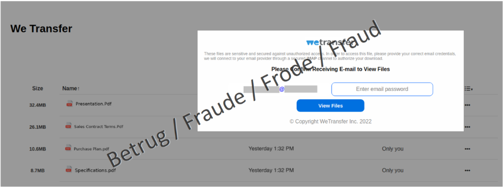 Fraudulent website: in the background, the website gives the impression that documents are available; in the foreground, the user is supposed to enter the email password