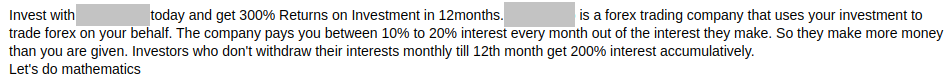 Promises of a 300% return on investment in 12 months