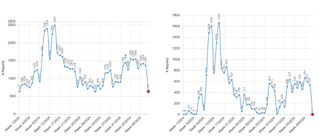 Total number of reports received (left) and reports of calls supposedly from authorities (right) from week 1/2024 to 52/2024. It is clear that this type of scam is the main reason for the difference in the total number of reports.