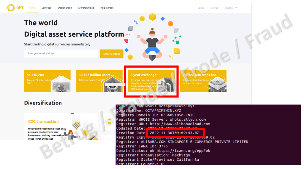 L’une des pages falsifiées, très élaborée, prétend être active depuis huit ans. Une recherche dans le registre «Whois» révèle toutefois que la page a en fait été créée le 30 novembre 2022.