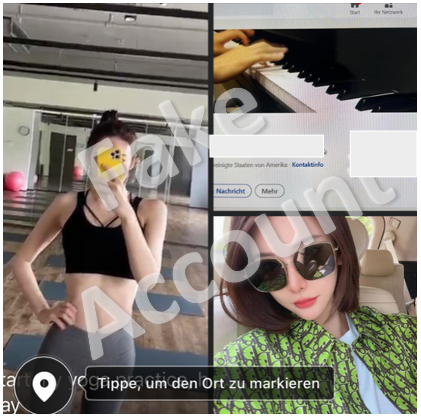 Photos et données tirées du profil falsifié de l’escroc. Celui-ci a probablement téléchargé les images en ligne.